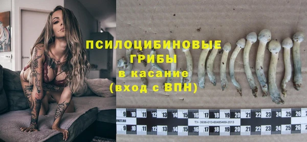 ECSTASY Аркадак