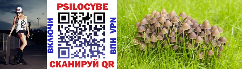 нарко площадка Telegram  Верхняя Салда  Галлюциногенные грибы Magic Shrooms 